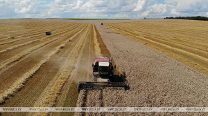 Аграрии Минщины намолотили 1 миллион тонн зерна
