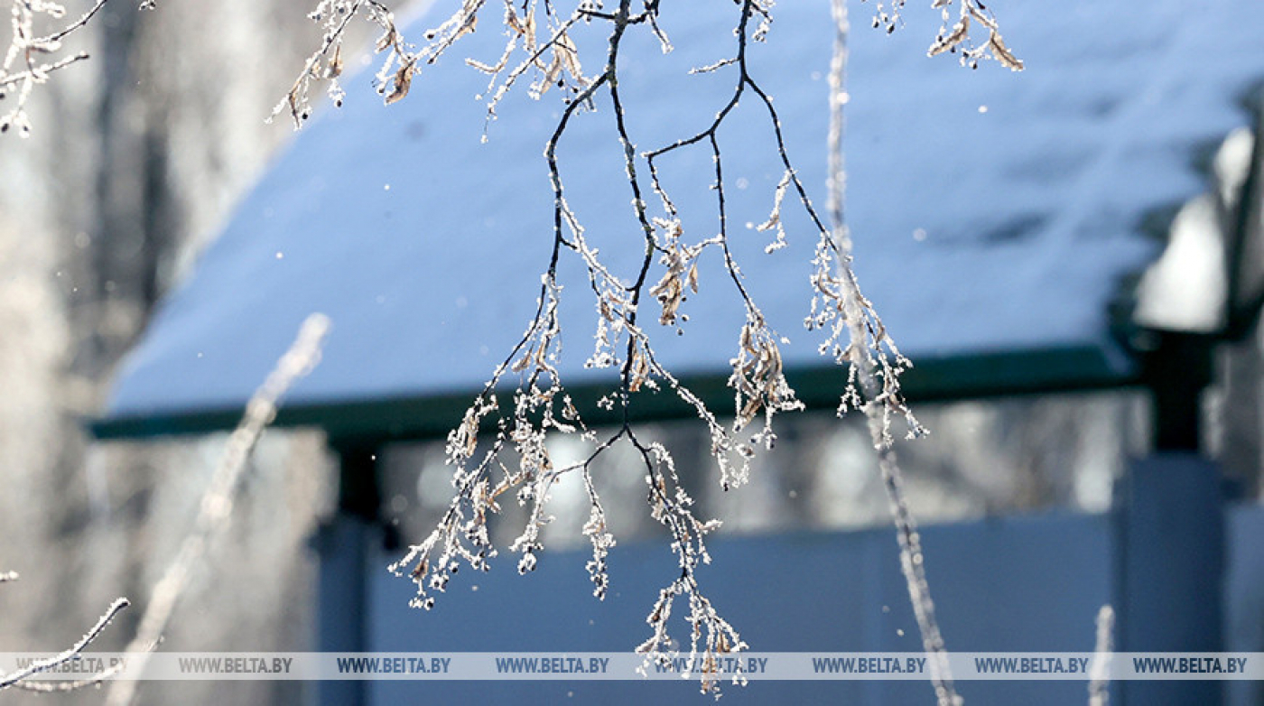 Сильный ветер, гололедица и снег. Синоптики рассказали, каким будет конец февраля