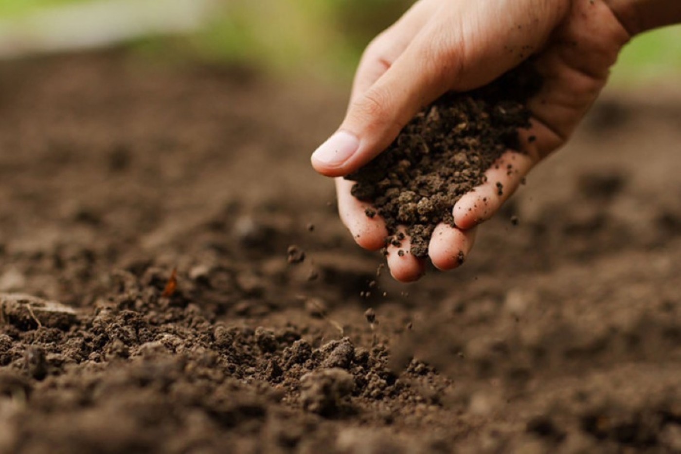 Беларусь прорабатывает создание комплексных удобрений для рынков Западной Африки