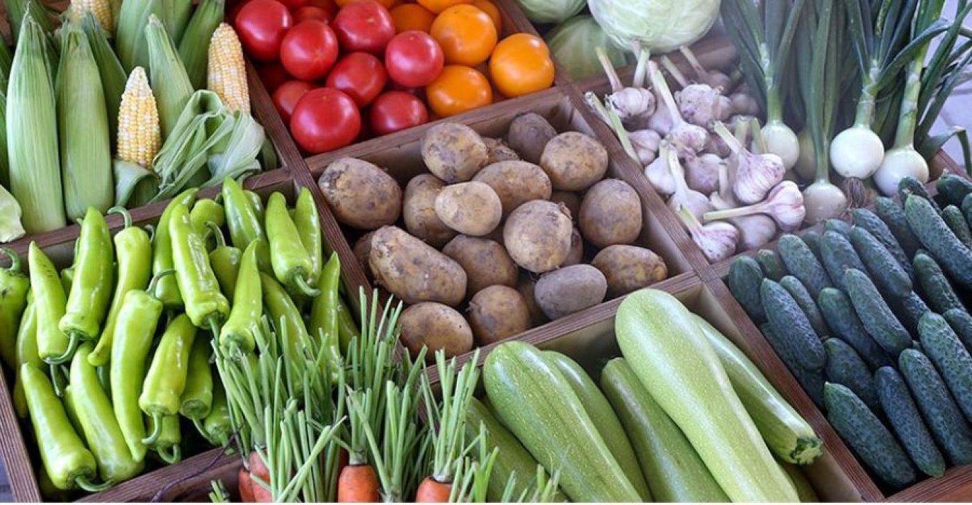 Цены на закупку овощей, фруктов и ягод у населения озвучили в Белкоопсоюзе
