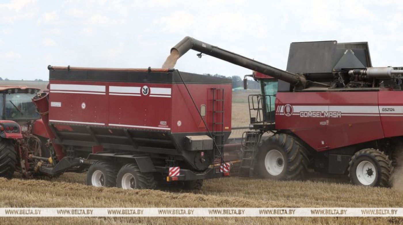 Хлеборобы Минской области установили новый рекорд жатвы