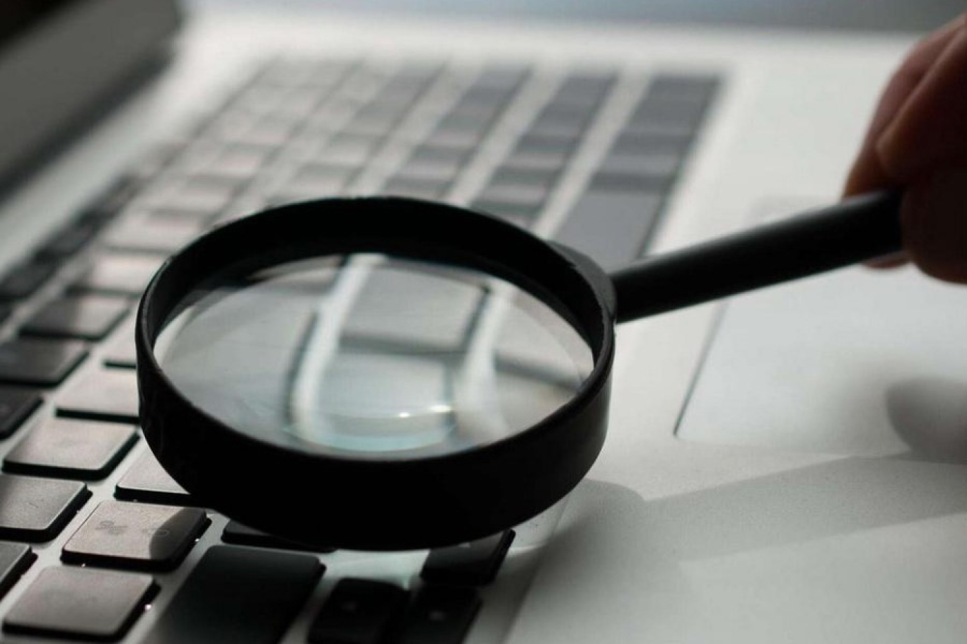 Инструкция пользователя по электронной услуге, предоставляющей возможность направлять уведомления о заключении или прекращении трудового договора с трудящимся-иммигрантом