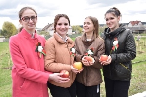Выпускники школ района посадили яблоневый сад