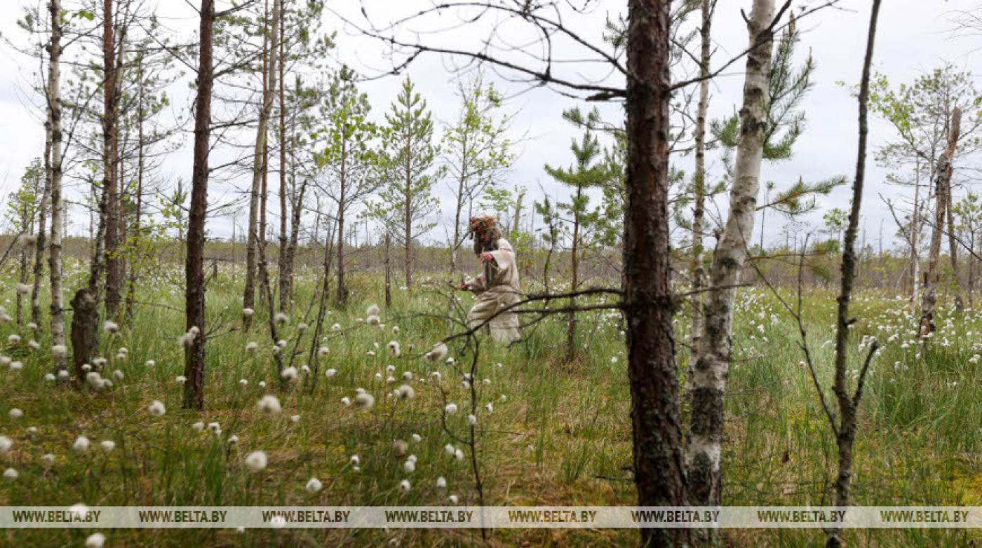 Мифологический фестиваль "Шлях Цмока" приглашает гостей в Березинский заповедник