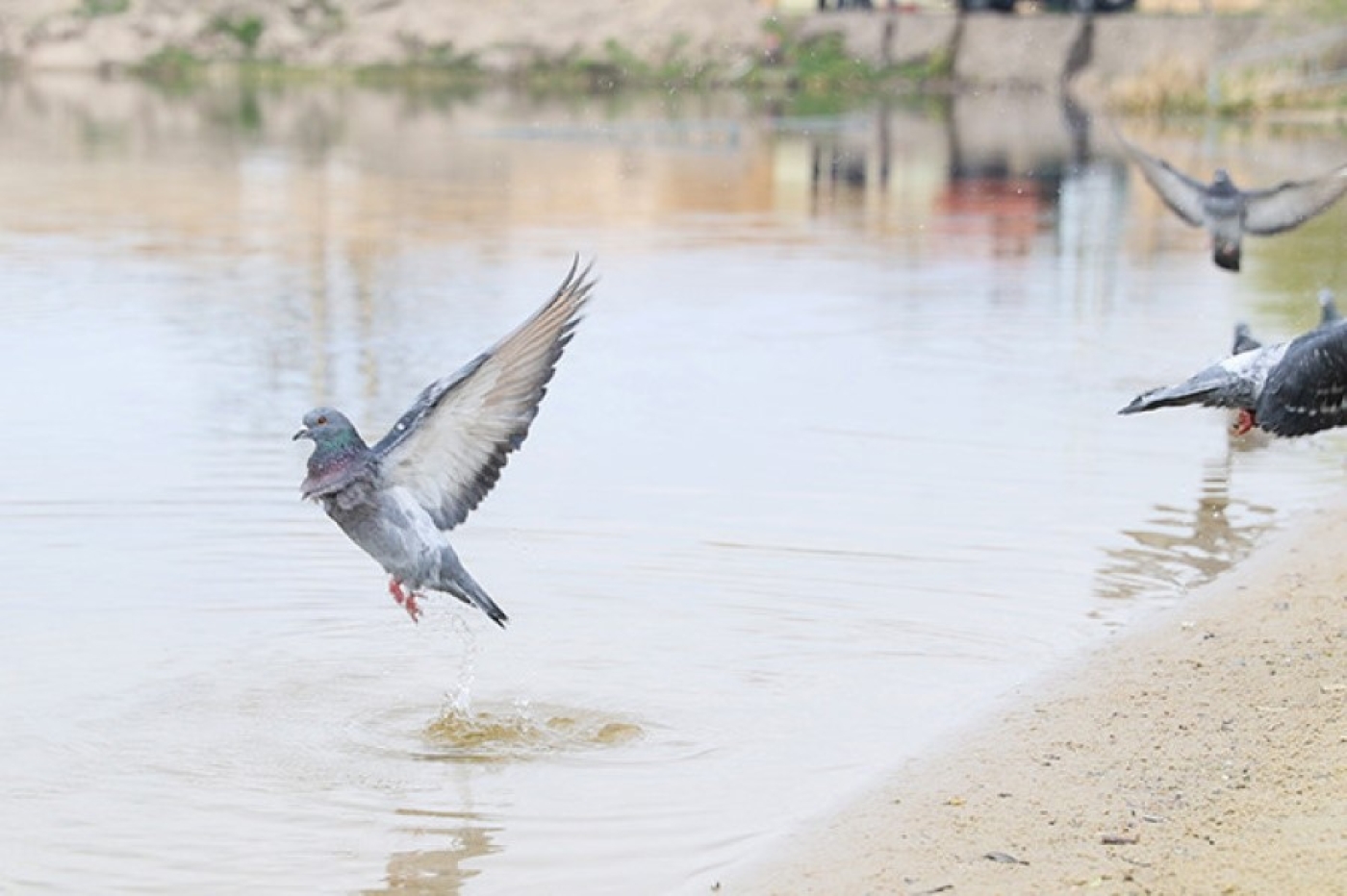 Погода 25 апреля: оранжевый уровень опасности из-за ночных заморозков и дождь с мокрым снегом