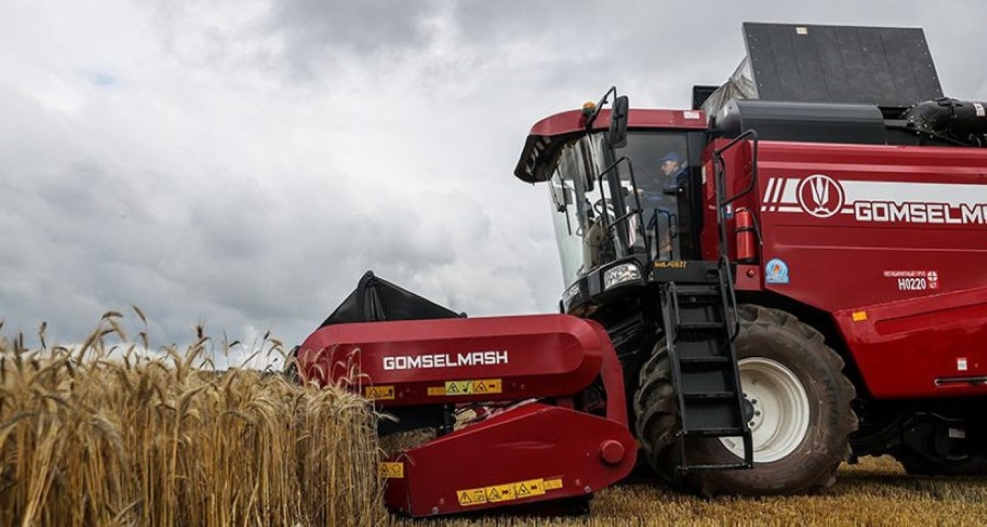 В Беларуси с учетом рапса намолотили более 6,6 млн тонн зерна