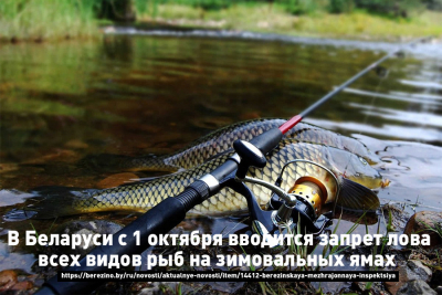 Березинская межрайонная инспекция охраны животного и растительного мира информирует!