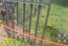 В Витебске олененок застрял в металлической изгороди, спасатели помогли ему высвободиться