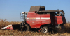 Более 1,4 млн тонн зерна кукурузы намолочено в Беларуси