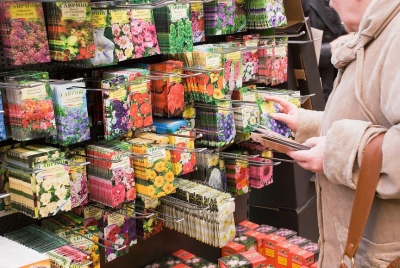 Семена неизвестного происхождения: КГК выявили недобросовестных продавцов, обманывающих садоводов
