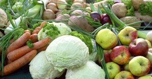 Белкоопсоюз рассказал, по каким ценам закупает овощи, картофель у населения