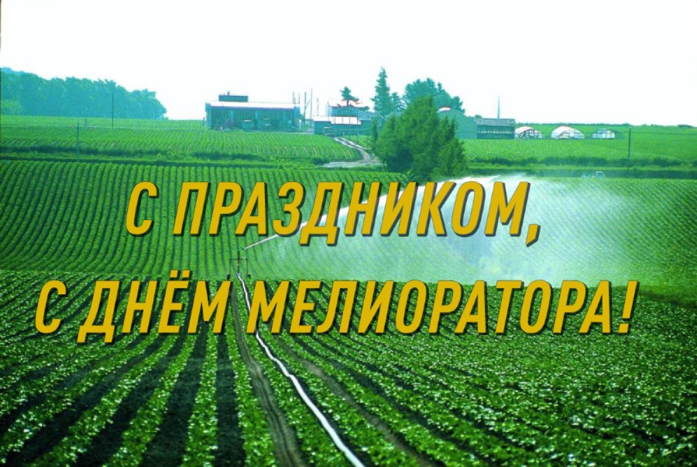 Дорогие друзья, коллеги, уважаемые ветераны производства!