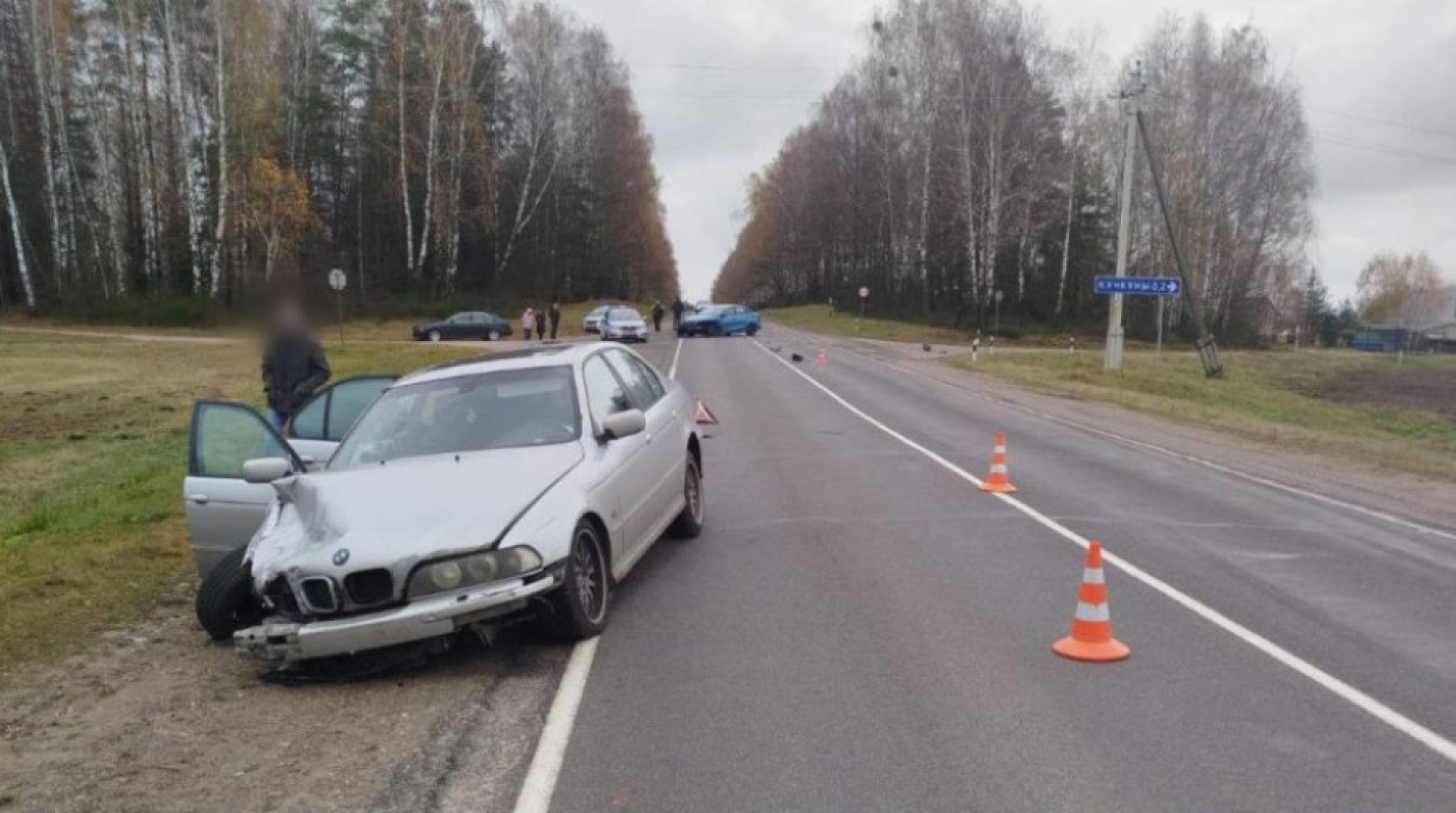 Два человека пострадали в ДТП в Минском районе из-за выбежавшего на дорогу лося