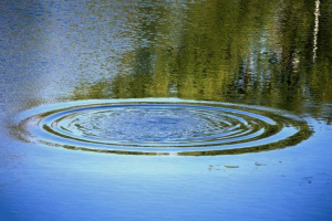 Трагедия в Узденском районе: утонули женщина и ребёнок