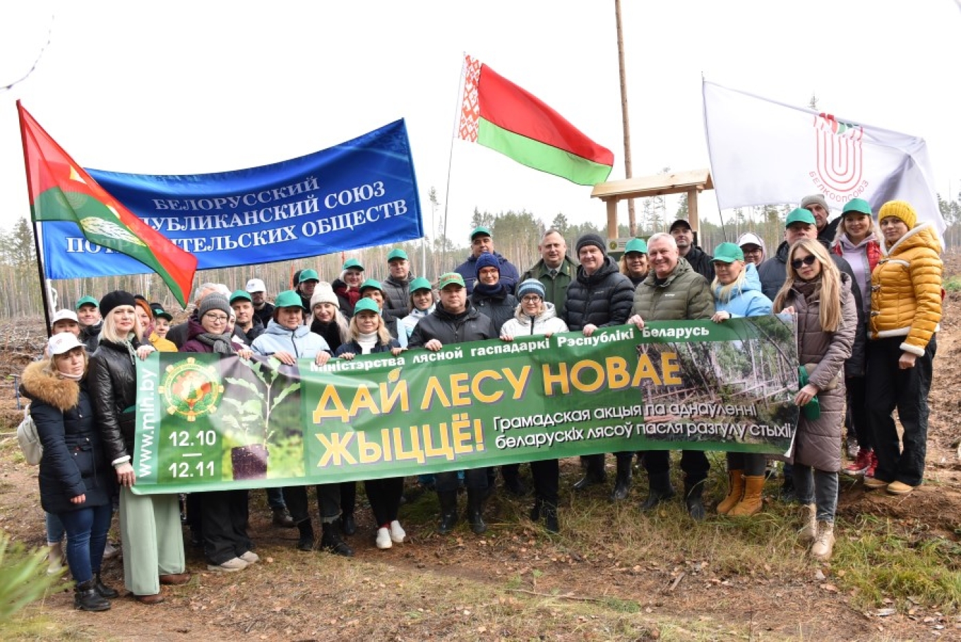 Работнікі Белкаапсаюза аднаўлялі лес на Бярэзіншчыне