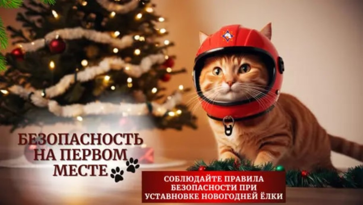 Наш смелый котик напоминает: безопасность — на первом месте!