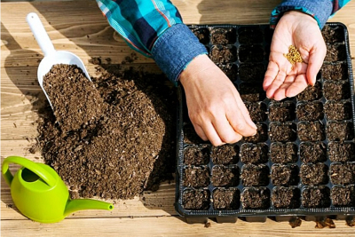 Лунный календарь садовода и огородника на апрель 2022 года