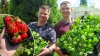 Молодой да ранний. И это не только про сорт клубники