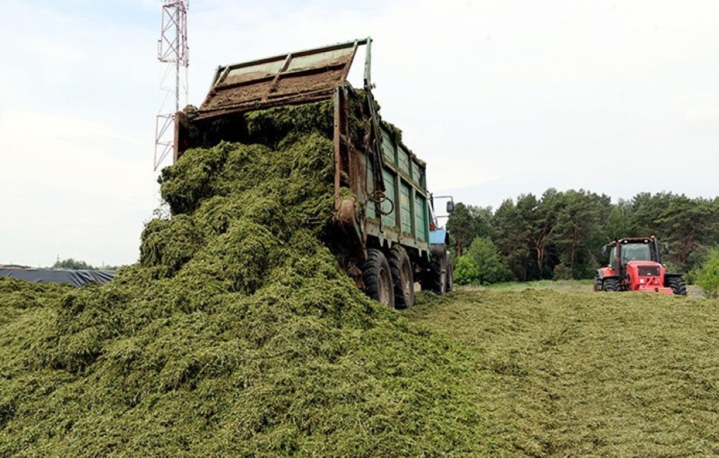 В Минской области убрано более 100 тыс. га трав второго укоса