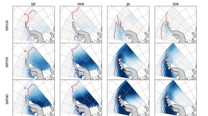 Антарктида может растаять на 20% к 2100 году