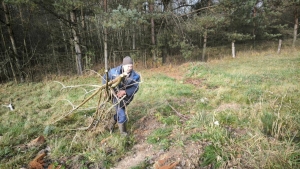 Порядок — дело всего года: в Лешнице наводят чистоту на мехдворе