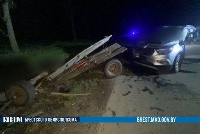 Управлявший гужевой повозкой 23-летний мужчина погиб в ДТП в Дрогичинском районе