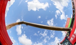 Белорусские аграрии намолотили почти 8,3 млн тонн зерна