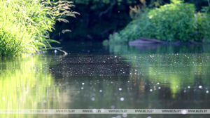 В Беларуси за выходные утонули 5 человек