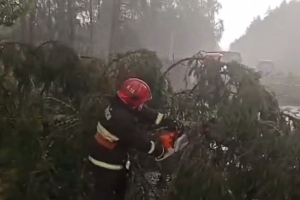 В Гродно спасатели помогали устранять последствия непогоды, мониторинг обстановки продолжается