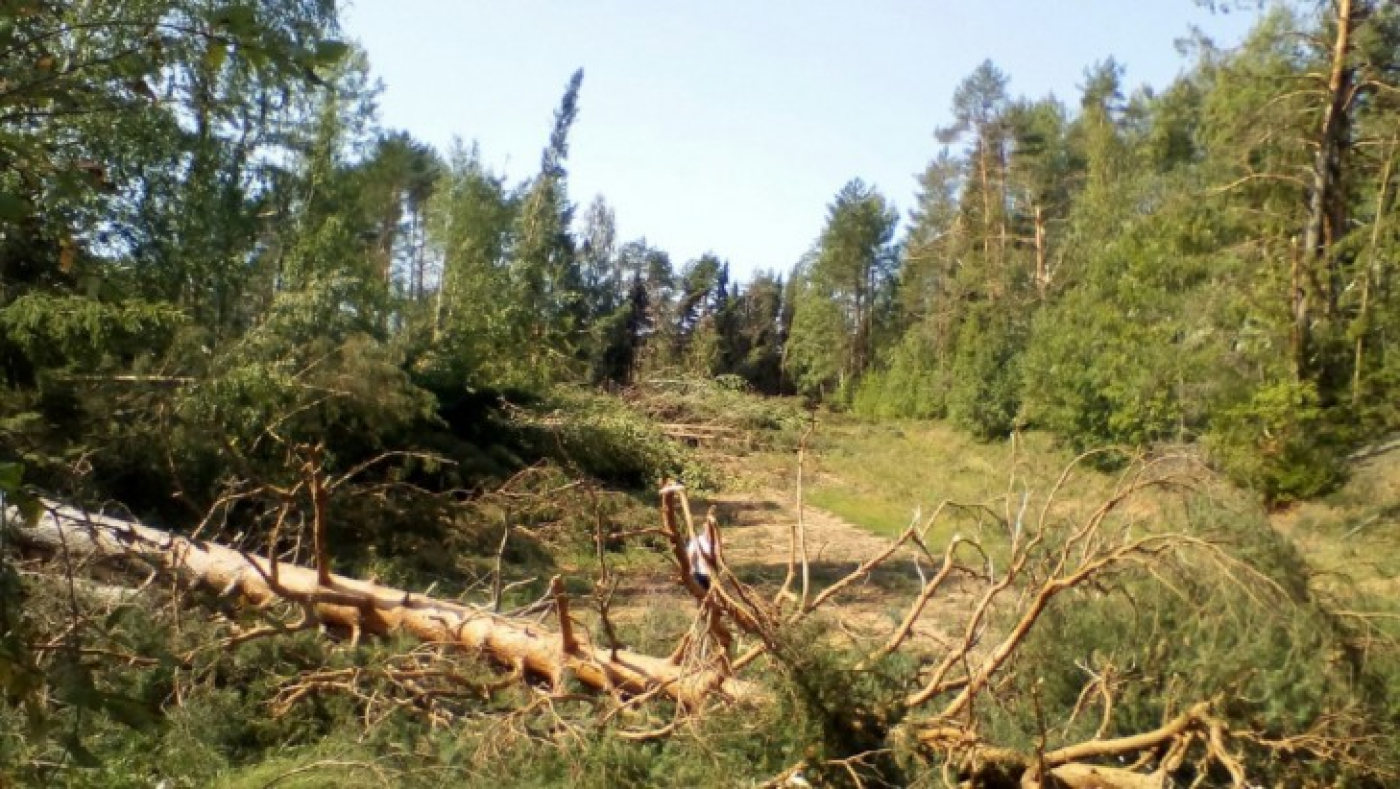 Мядельский, Минский, Березинский и Вилейский районы наиболее пострадали вследствие непогоды