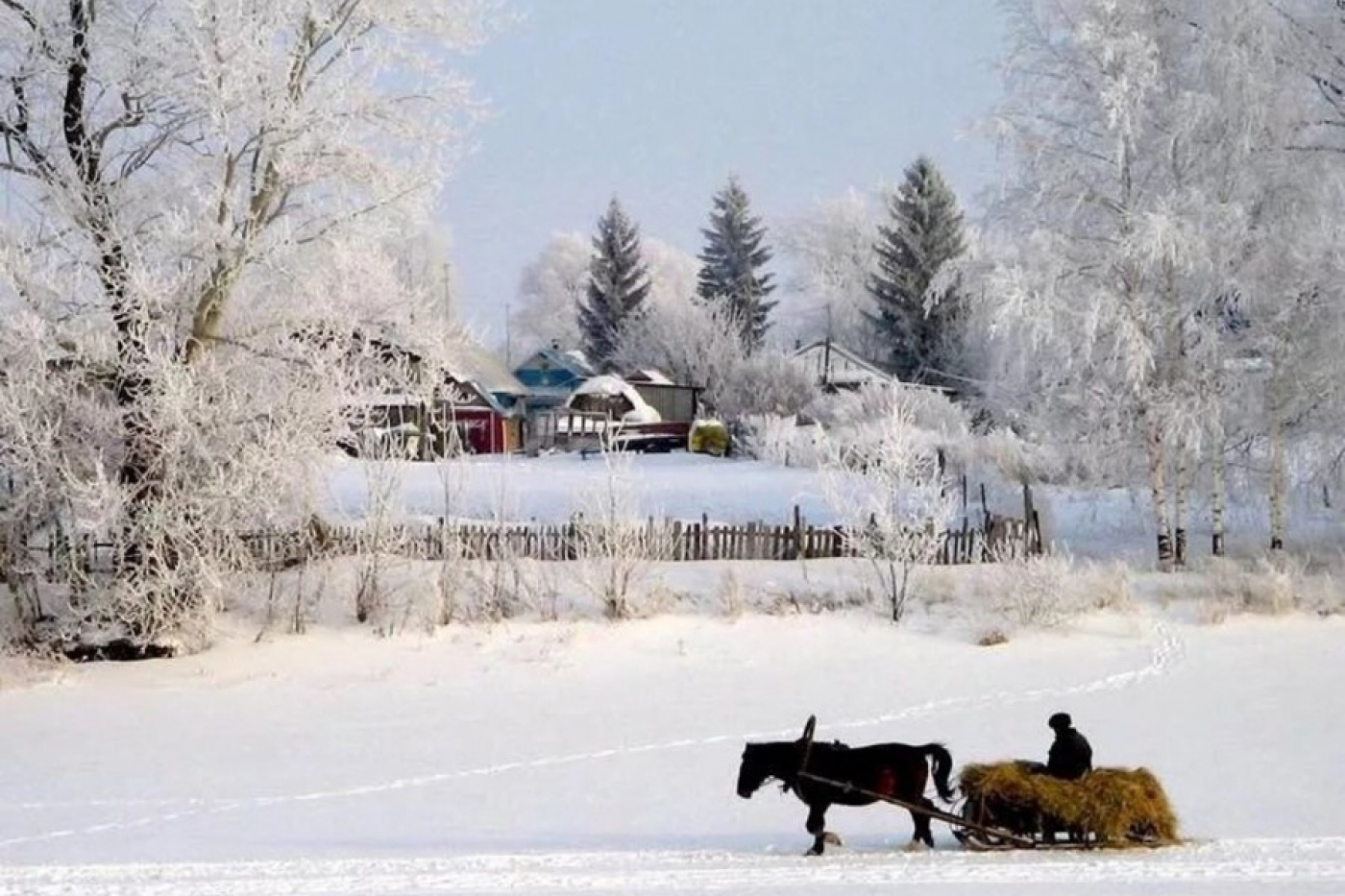 Лунный календарь садовода и огородника на январь 2023 года