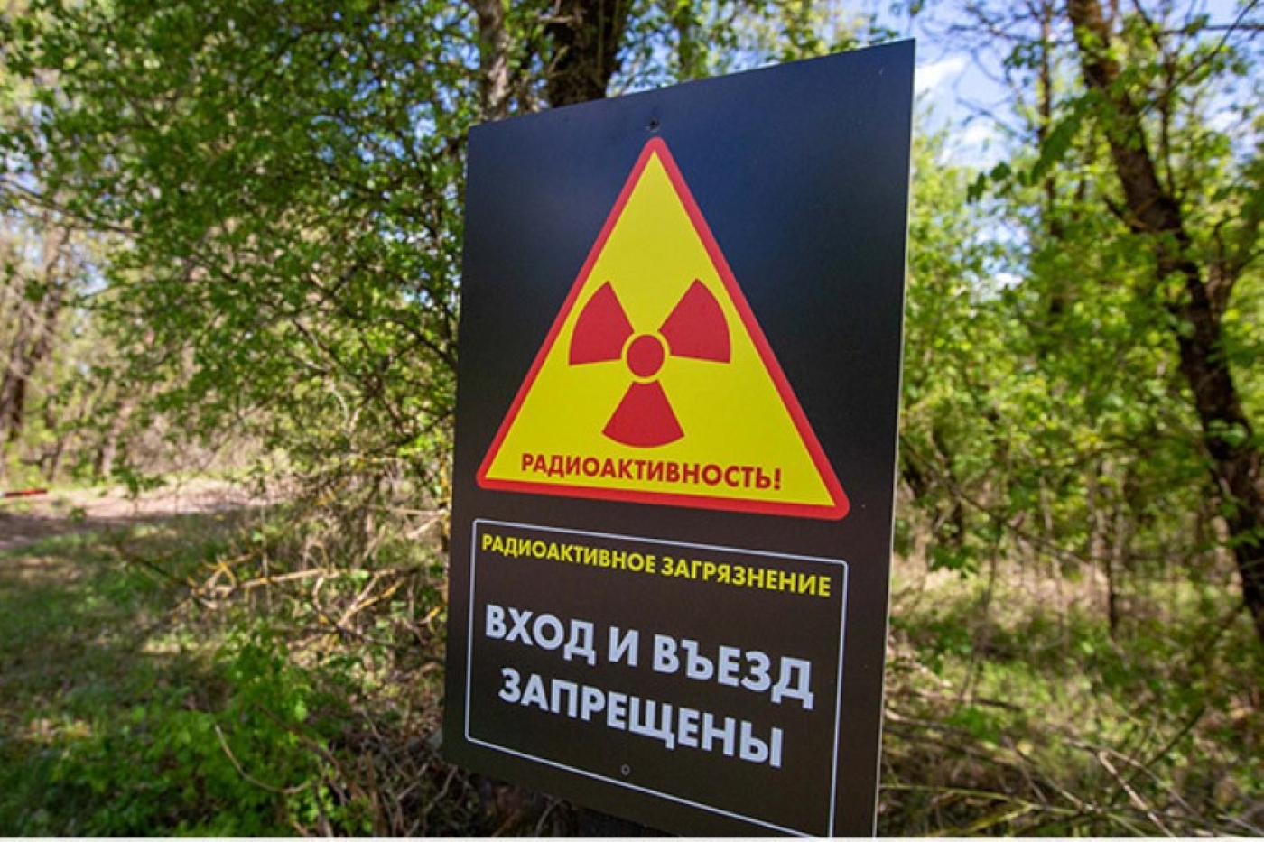 Площадь загрязненных после аварии на ЧАЭС территорий в Беларуси сократилась в 1,8 раза