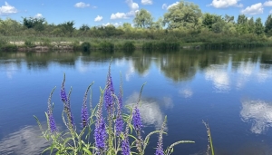 В Минприроды рассказали, откуда получают долгосрочные прогнозы погоды по Беларуси