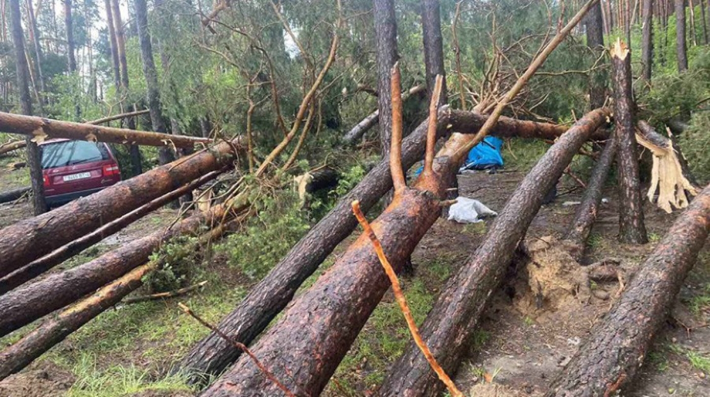 В Зельвенском районе из-за падения дерева погибла женщина