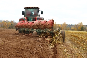 В СУП "АгроМаз" продолжаются осенние полевые работы