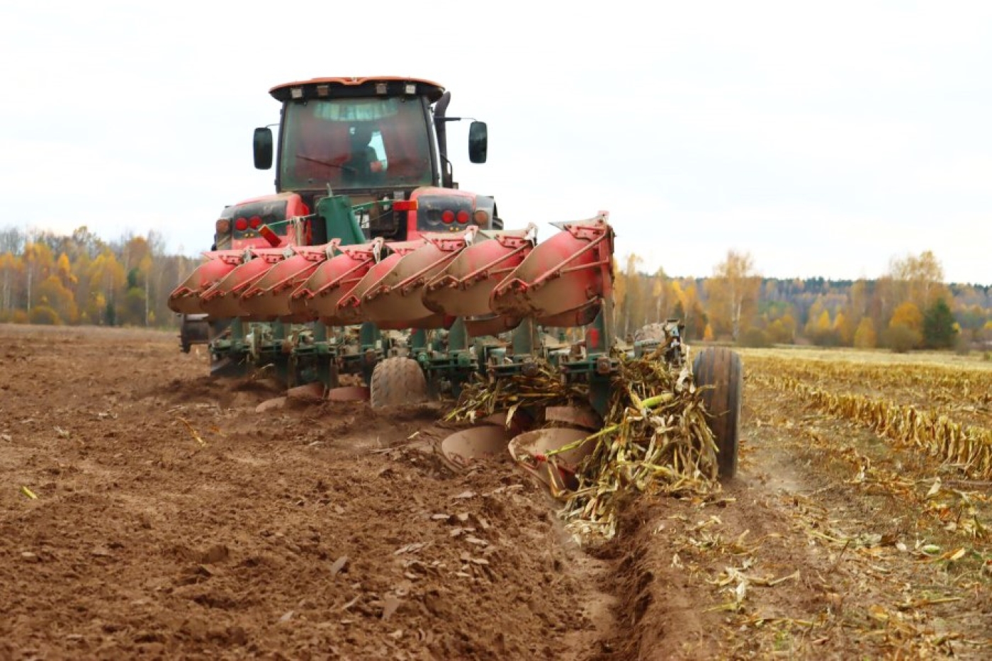 В СУП "АгроМаз" продолжаются осенние полевые работы