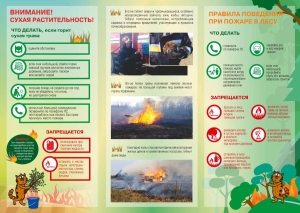 На дворе зима, а уже горит сухая трава…