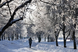 Будут ли в Беларуси сегодня снегопады, рассказали синоптики