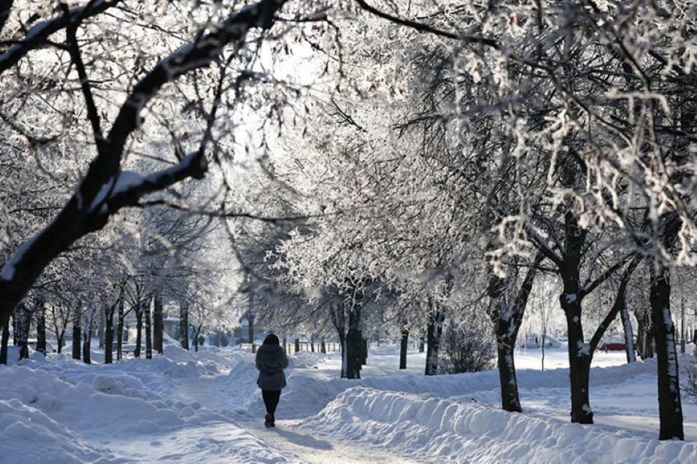 Будут ли в Беларуси сегодня снегопады, рассказали синоптики