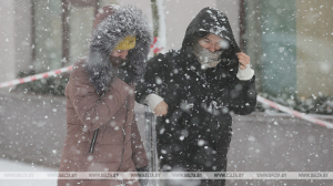 МЧС предупреждает об опасности из-за сильного ветра