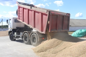 Рейсы с полей ведут сюда