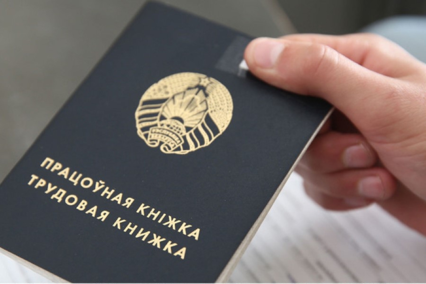 Занятость - это часть реабилитации. Минтруда о ресоциализации бывших наркозависимых