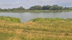 Мужчина утонул в Борисовском районе, пытаясь переплыть реку на спор