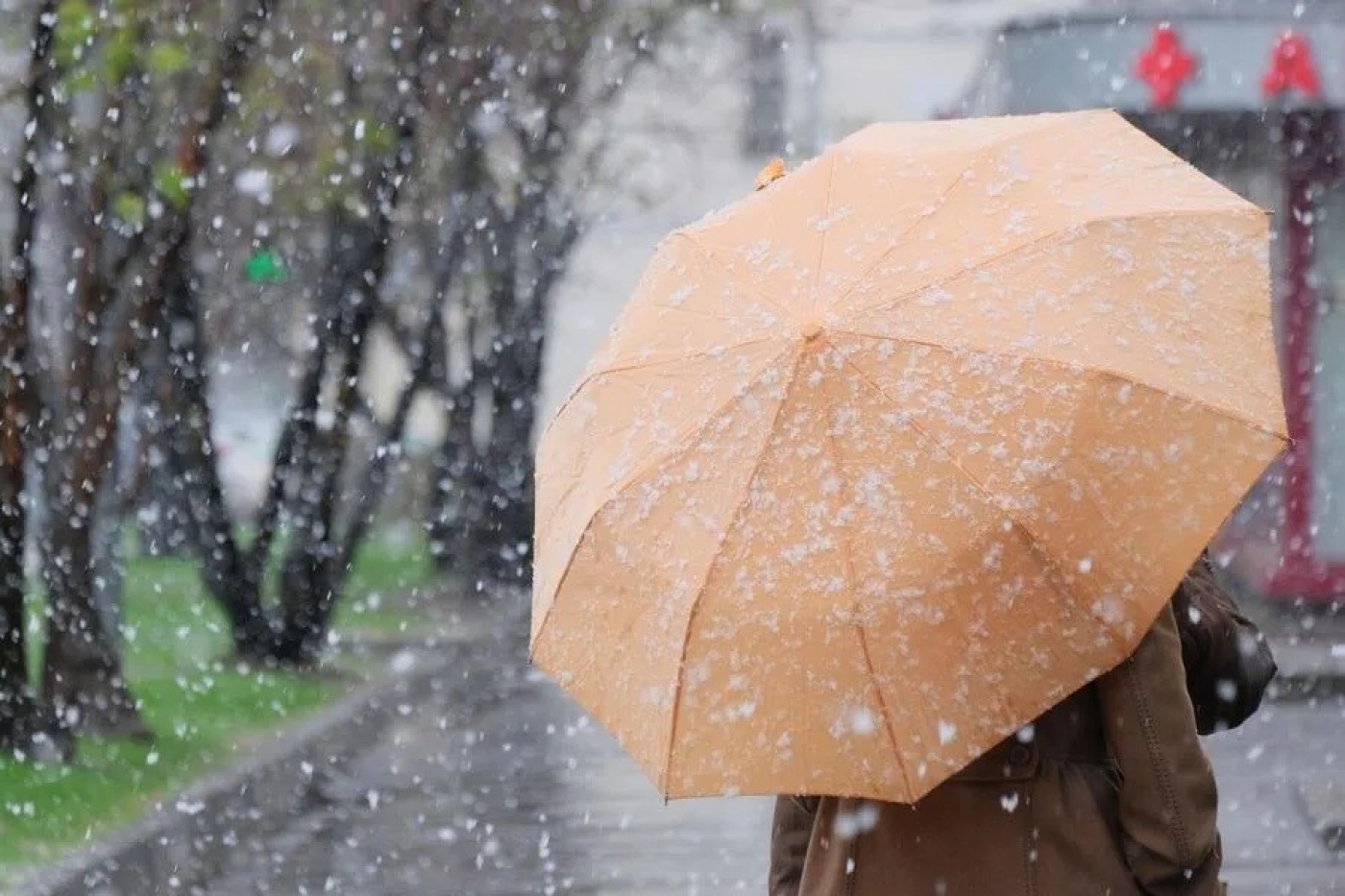 Погода в выходные: оранжевый уровень опасности, дождь, снег и до +8 °С