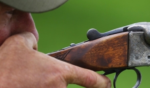 Сезон охоты на пернатую дичь открылся в Беларуси