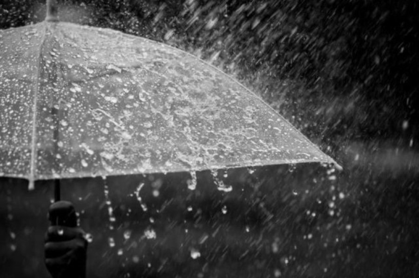 Дожди, мокрый снег и туманы: Рябов рассказал о погоде в Беларуси с 6 по 12 апреля