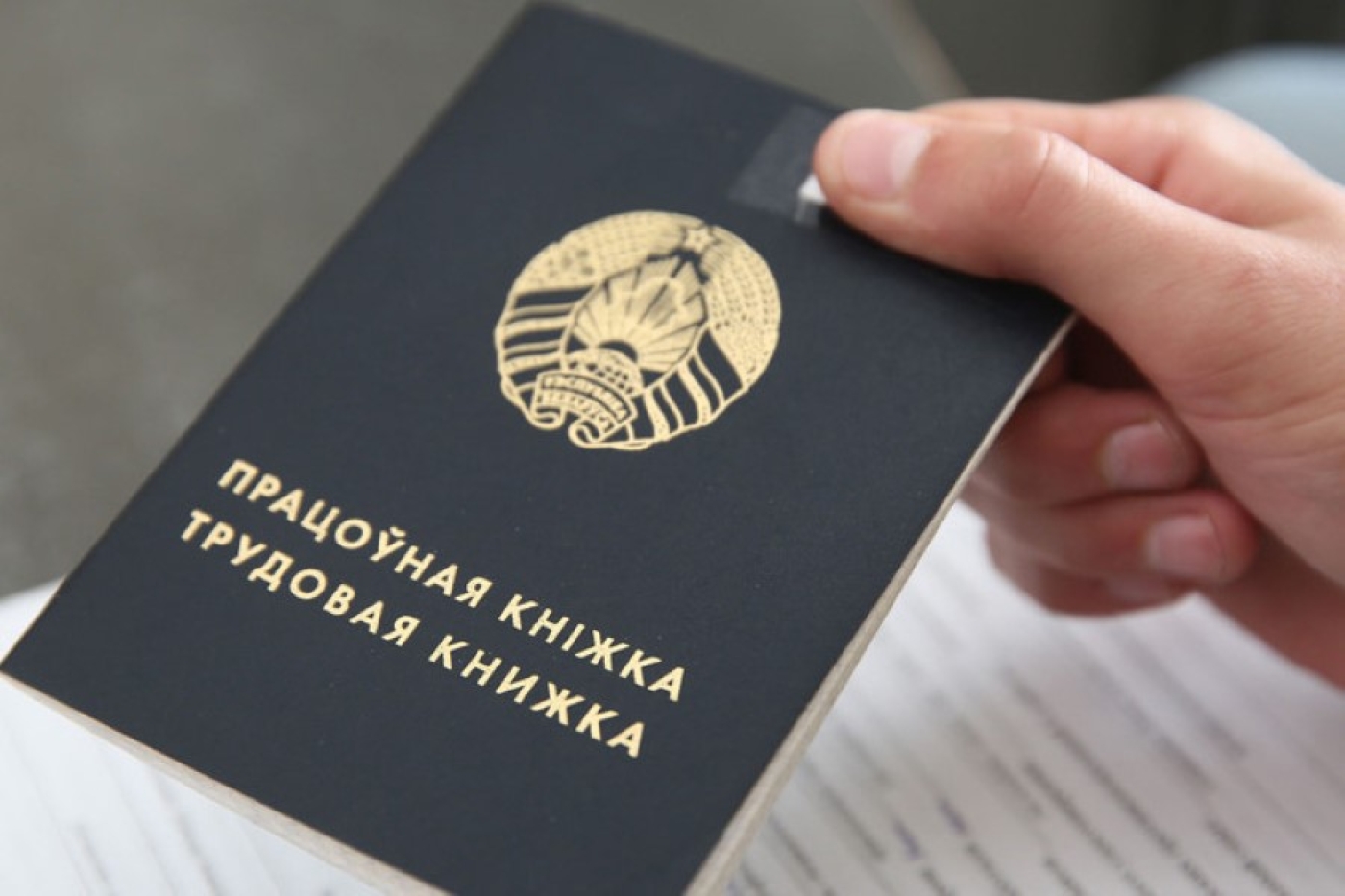 Может ли работодатель задержать выдачу трудовой книжки, рассказали в Минтруда