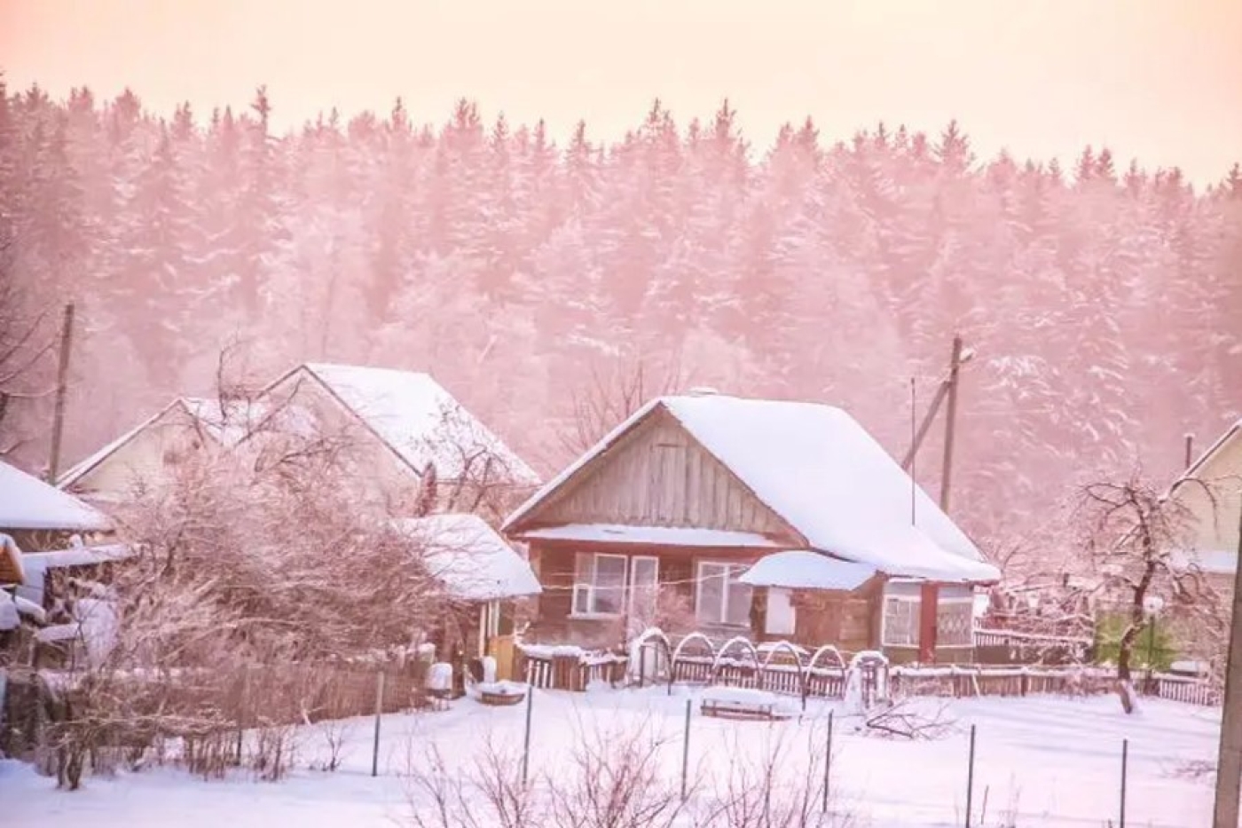 Погода в Беларуси в выходные: туман, гололедица, порывистый ветер и от -20 °С до +4 °С