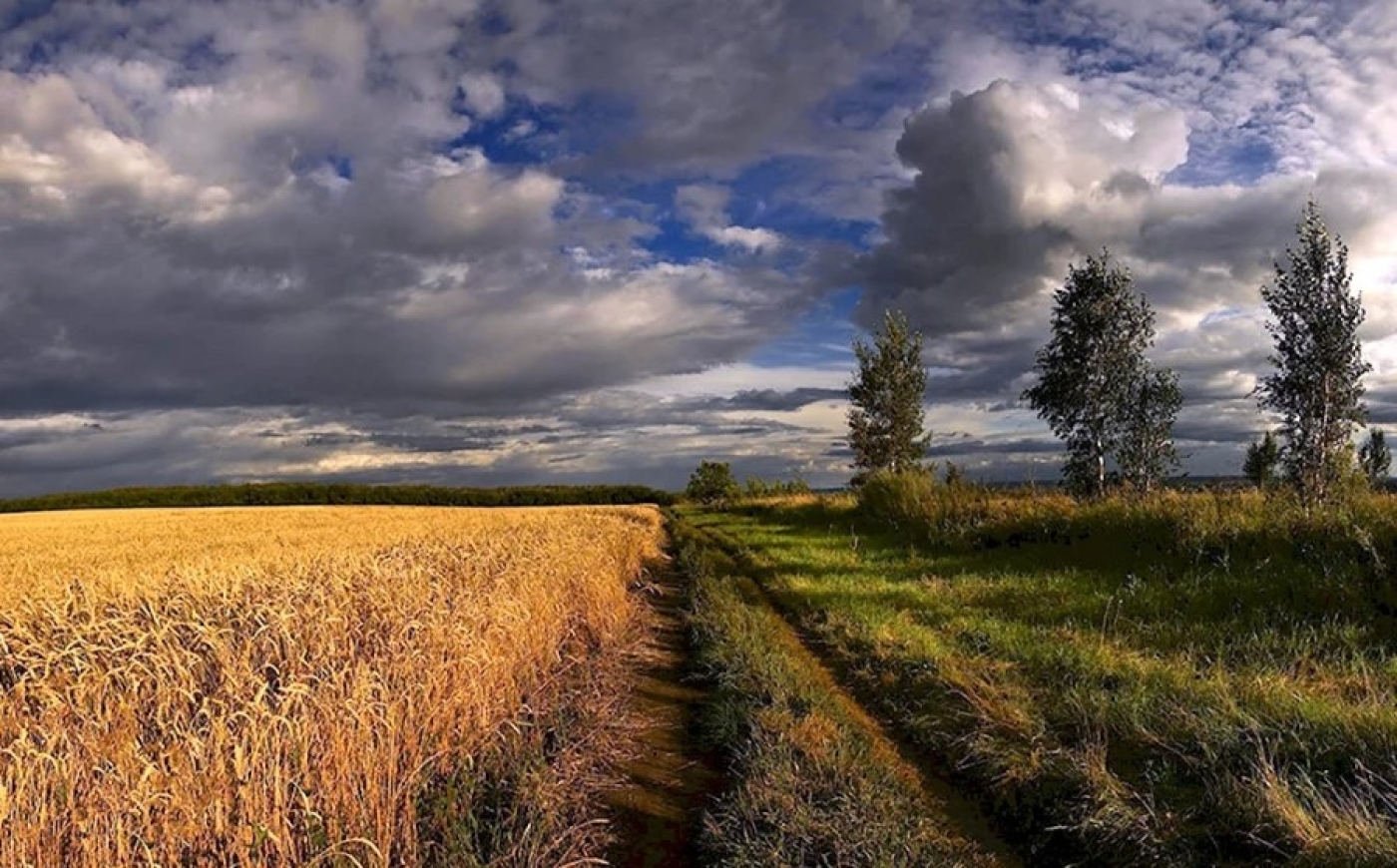Погода в выходные: кратковременные дожди, местами грозы и до +30 °С