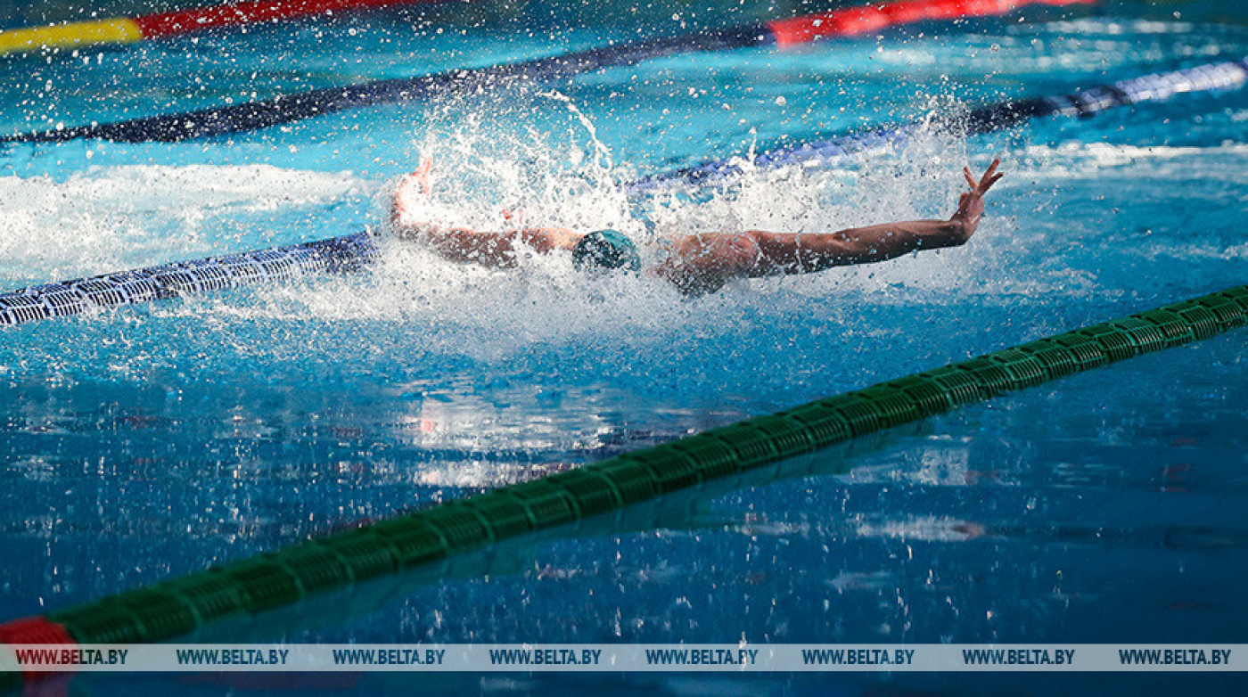 Более 300 спортсменов выступят в Бресте на чемпионате Беларуси по плаванию